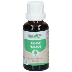 HerbalGem Platane