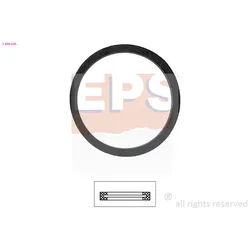 EPS Dichtung, Thermostat 1890595 für Peugeot NISSAN ROVER