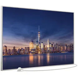 STEINFELD Heizsysteme Infrarotheizung Bild 900W, 120x74cm, Made in Germany, 7J Garantie, mit Thermostat, viele Motive silberfarben