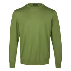 Le pull 100% laine vierge Peter Hahn vert