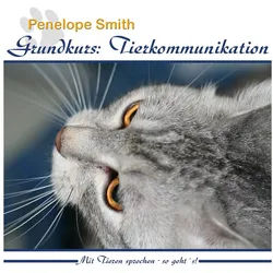 Hörspiel-CD Grundkurs: Tierkommunikation, 2 Audio-CD