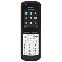 OpenScape DECT Phone R6