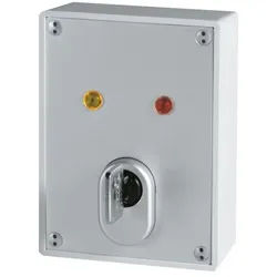 ABUS SE1000 Aufputz Schlüsselschalter mit XP20S Zylinder + 4 Schüssel