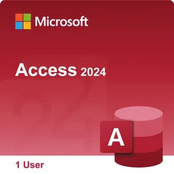 Microsoft Access 2024