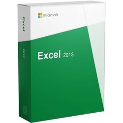 Microsoft Excel 2013