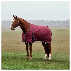 WeatherBeeta Pferde-Thermodecke Weatherbeeta Comfitec Prelim Turnout 220g 145 cm / 6'5 cm
