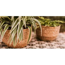 Restberry ́s plant bowl Yva ø 19 cm