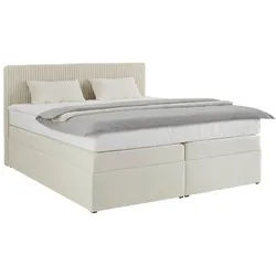 Boxspringbett Rossa in Beige ca. 160x200cm