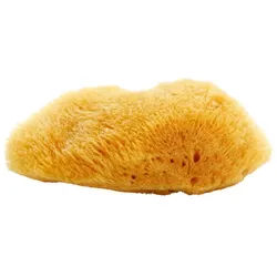 Magnum Natural karibischer Meeresschwamm 10- 12 cm
