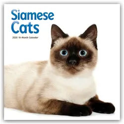 Wandkalender Siamese Cats - Siamesische Katzen - Siamkatzen 2026 - Wand-Kalender