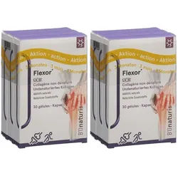 BIOnaturis Flexor®