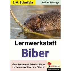 Lernwerkstatt Biber - Andrea Schnepp, Kartoniert (TB)