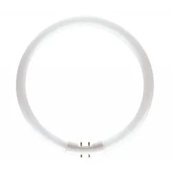 PHILIPS 2GX13 MASTER TL5 Circular Leuchtstofflampe 60W 4000K kaltweißes Licht