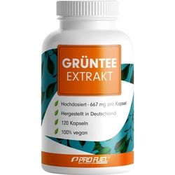 ProFuel Grüntee Extrakt Kapseln 120 St