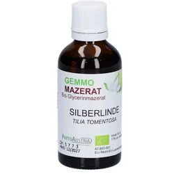 Gemmo Mazerat Silberlinde