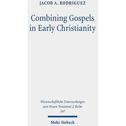 Combining Gospels In Early Christianity - Jacob A. Rodriguez Kartoniert (TB)