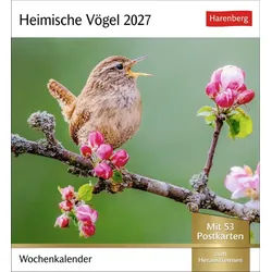 Athesia Kalenderverlag Tierkalender Heimische Vögel Postkartenkalender 2027 - Wochenkalender mit 53 Pos...