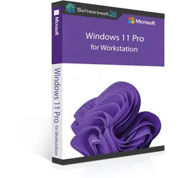 Windows 11 Pro for Workstation