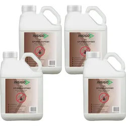 Insigo Spinnenspray Spray 20 l