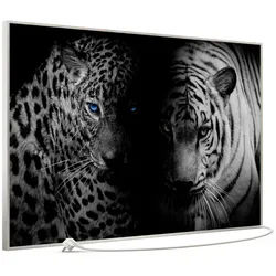 STEINFELD Heizsysteme Infrarotheizung Bild 900W, 120x74cm, Made in Germany, 7J Garantie, mit Thermostat, viele Motive silberfarben