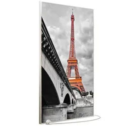STEINFELD Heizsysteme Infrarotheizung Bild 900W, 120x74cm, Made in Germany, 7J Garantie, mit Thermostat, viele Motive silberfarben