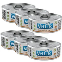 Farmina Vet Life Convalescence Cat 6x85g