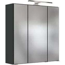 Held Spiegelschrank , Grau , Metall , 6 Fächer , 60x66x20 cm , Typenauswahl, individuell planbar , Badezimmer, Badmöbelsets & Badmöbelserien, Badmöbelserien