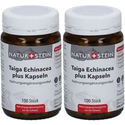 Naturstein Taiga Echinacea