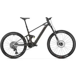 Dune RR - bronze - XL