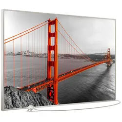 STEINFELD Heizsysteme Infrarotheizung Bild 900W, 120x74cm, Made in Germany, 7J Garantie, mit Thermostat, viele Motive silberfarben