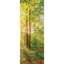 Xxxl Keilrahmenbild , Multicolor , Holz, Papier , Kiefer , rechteckig , 30x80x3 cm , Keilrahmen , Bilder & Rahmen, Bilder, Leinwandbilder