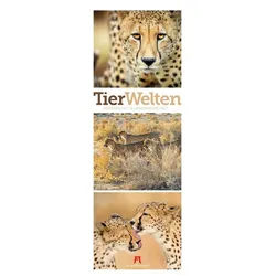 Ackermann Wandkalender Tierwelten Triplet-Kalender 2027, Artenvielfalt & Lebensräume Niedlic weiß