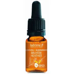 Ladrôme Heidekraut Nr. 14