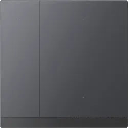GVS WALTZ Tastsensor+ Aluminium Anthrazit 2-fach 88187981