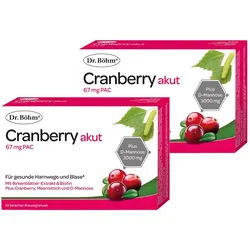 Dr. Böhm Cranberry akut