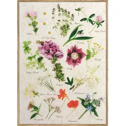 Monee Kunstdruck , Multicolor , Papier, Holzwerkstoff , rechteckig , 51.2x71.2 cm , Made in Europe , einfache und schnelle Anbringung, gerahmt, pflegefrei – nicht gießen oder besprühen , Bilder & Rahmen, Bilder, Sonstige Wandbilder
