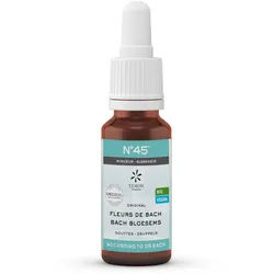 Bachblüten Bio N45 Maigrir