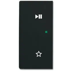 Busch-Jaeger 6237-21-885 Wippe 2-fach links mit Symbol "Play/Pause"