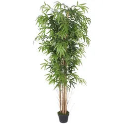 Xxxl Kunstpflanze Bambus 180 cm , Grün , Kunststoff , 180 cm , Dekoration, Blumen & Blumentöpfe, Kunstpflanzen