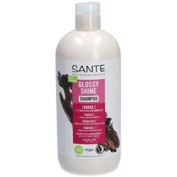 Sante Naturkosmetik Glossy Shine Shampoo Birke