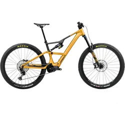 Rise LT H10 - bumblebee yellow-black