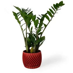 Shapes - Decorations Blumentopf The Plant Pot - Blumentopf mit integriertem Unterteller (Einzelmodell, 1 x Blumentopf mit integriertem Untersetzer), Spiraloptik rot Ø 15 cm