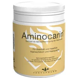 AMINOCARIN Pulver Dose 200 g