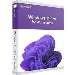 Windows 11 Pro for Workstation | ESD