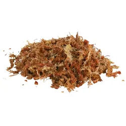 TRIXIE Sphagnum-Moos, tropisches Terrariensubstrat, ergibt 4,5 l