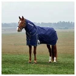 WeatherBeeta Pferde-Thermodecke Weatherbeeta Comfitec Plus Dynamic Turnout Detach-A-Neck 100g 120 cm / 5'6 cm