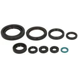 Motorsimmerringsatz ATHENA P400210400197