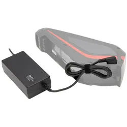 48V Panasonic Schnell-Ladegerät NKJ060A 46,8V 2A für Vollblut Akku Panasonic max. 54,6V