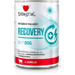 Disugual Veterinary RECOVERY Lamm Nassfutter für Hunde (Erwachsene) 400g
