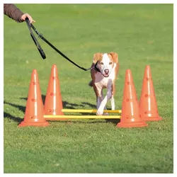 TRIXIE Agility-Hürde Trixie Pylonen-Hindernis 2er Set - ø 30 × 50 cm/100 cm